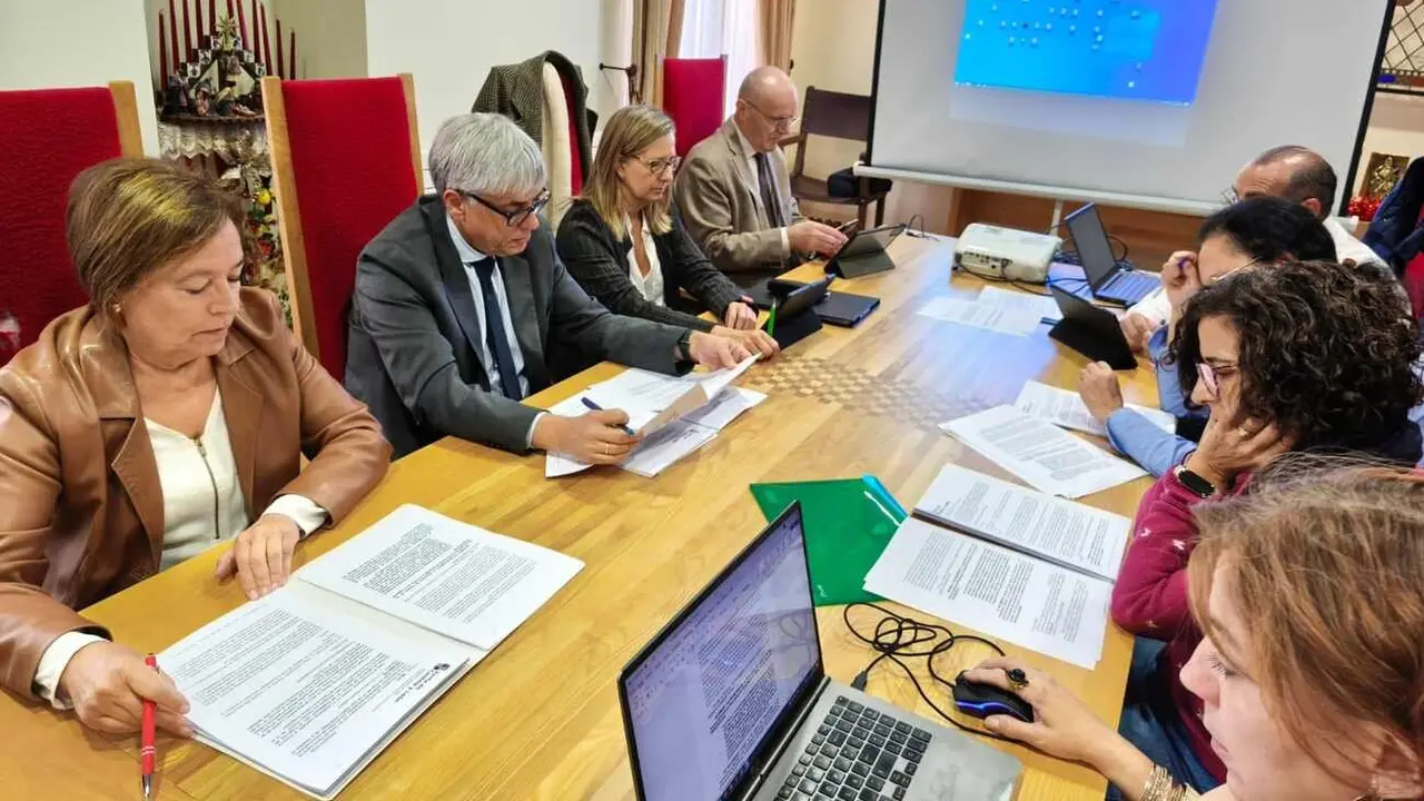 Imagen de la Comisión de Patrimonio con el delegado de la Junta al frente de la misma.