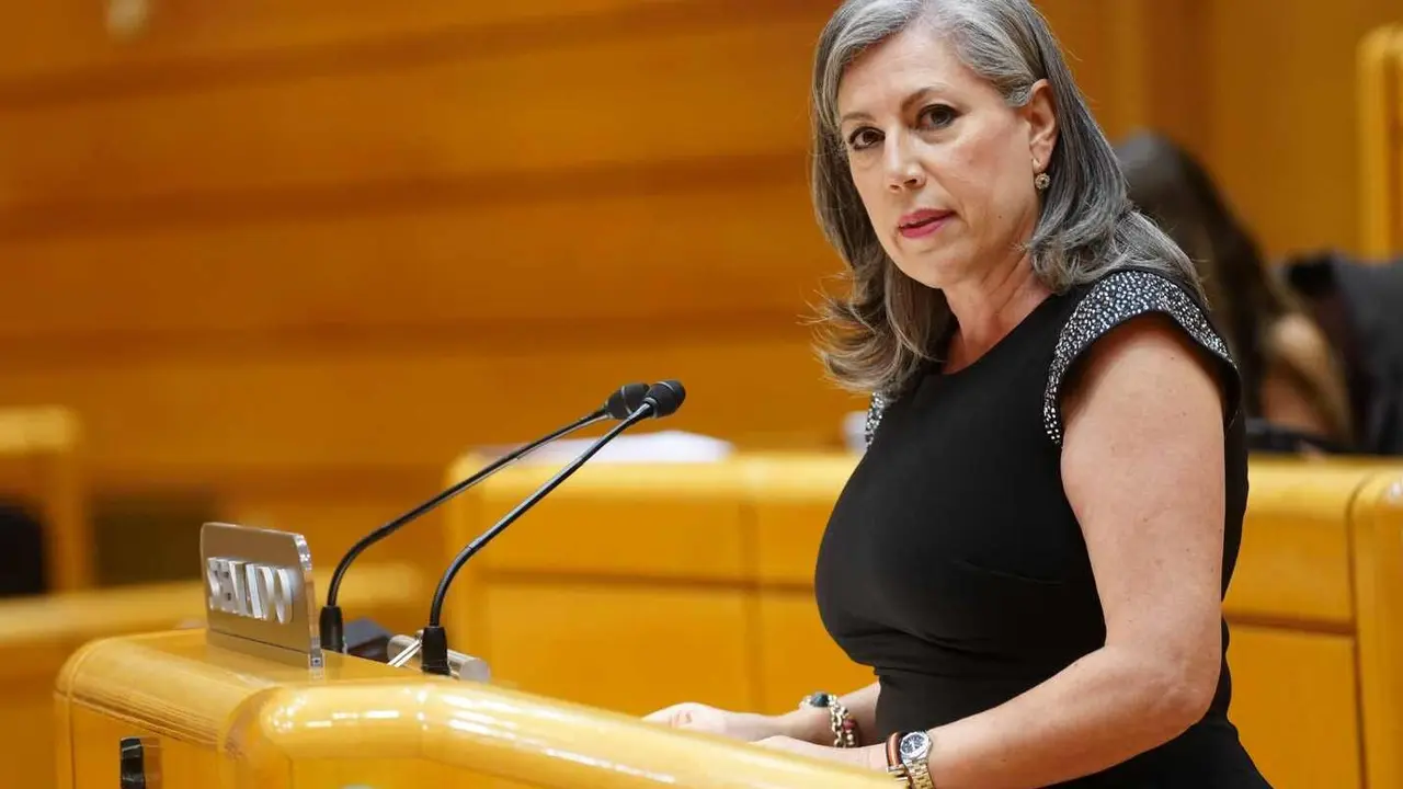 Asunción Mayo, durante su intervención en el Senado.