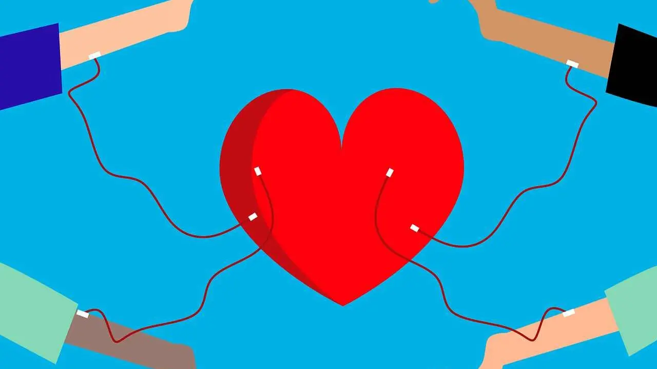 La Hermandad de Donantes de Sangre de León publica los puntos de donación de sangre del 7 al 15 de noviembre.