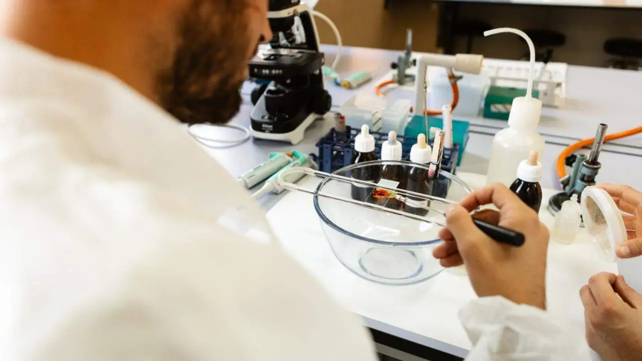 Laboratorio de Tecnología de los Alimentos de la Universidad de León. Foto: ULE