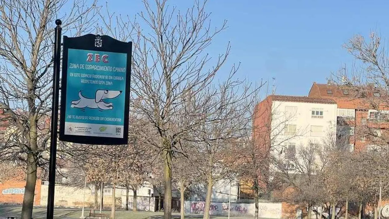 Imagen de una zona canina.