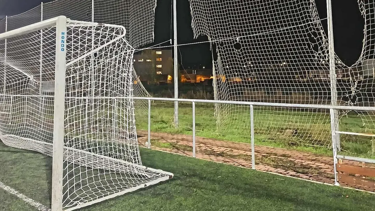 UPL reclama la reparación urgente de las redes del campo de La Palomera.