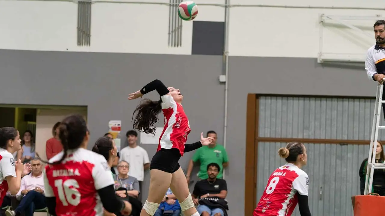 Voleibol