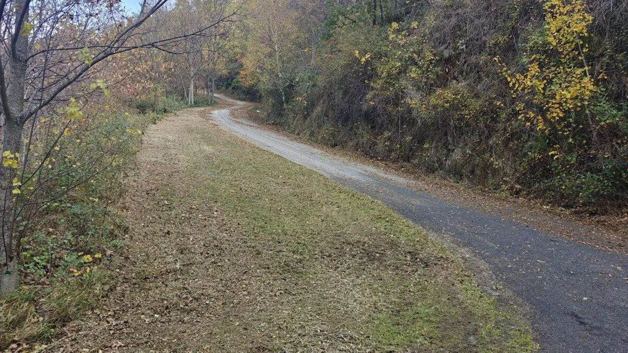 Desbroce carretera Carracedo de Compludo 11