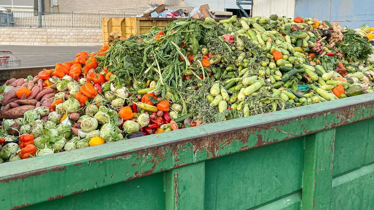 Expired Organic bio waste. Mix Vegetables in a huge container, in a rubbish bin. Heap of Compost from vegetables or food for animals.