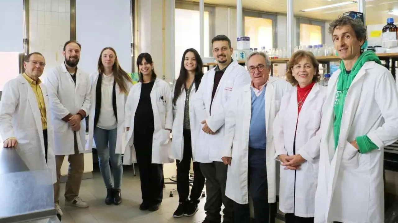 De izquierda a derecha: Miguel Ángel Ferrero García, Nicolás Navasa Mayo, María Isabel San Martín Becares, África Sanchiz Giraldo, Yaiza Carnicero Mayo, Alejandro Chamizo Ampudia, Leandro Rodríguez Aparicio, Honorina Martínez Blanco y Javier Casqueiro Blanco en el laboratorio de Bioquímica de la Facultad de Veterinaria de la ULE.