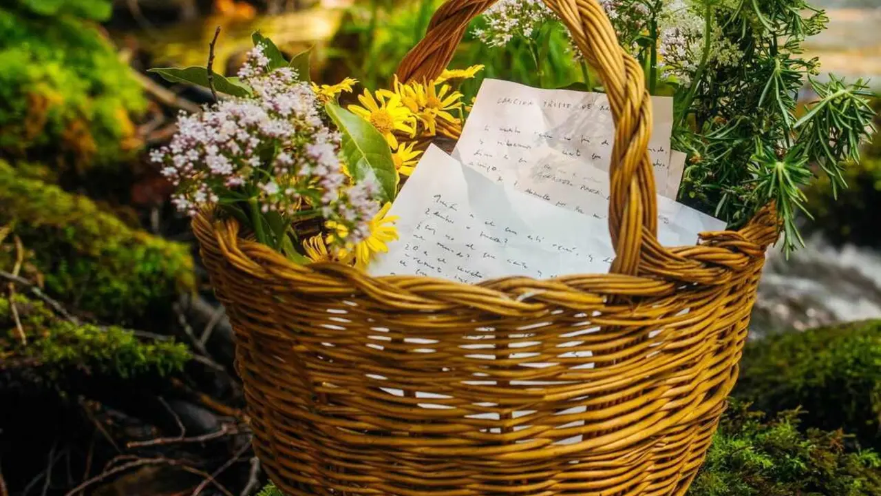 Cubiertalibro_AngeldelSil