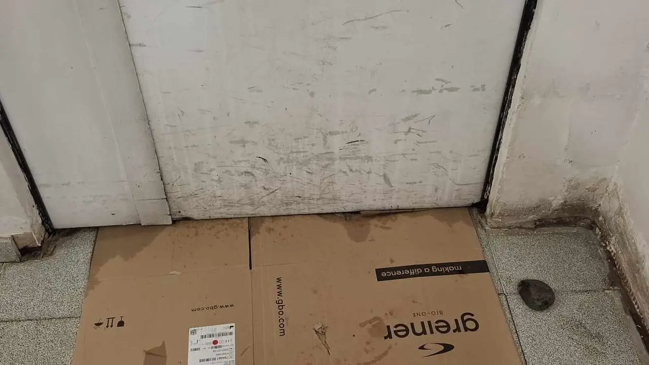 Cartones para evitar que el agua se cuele en el interior del recinto sanitario, en el prolifera el moho y la humedad.