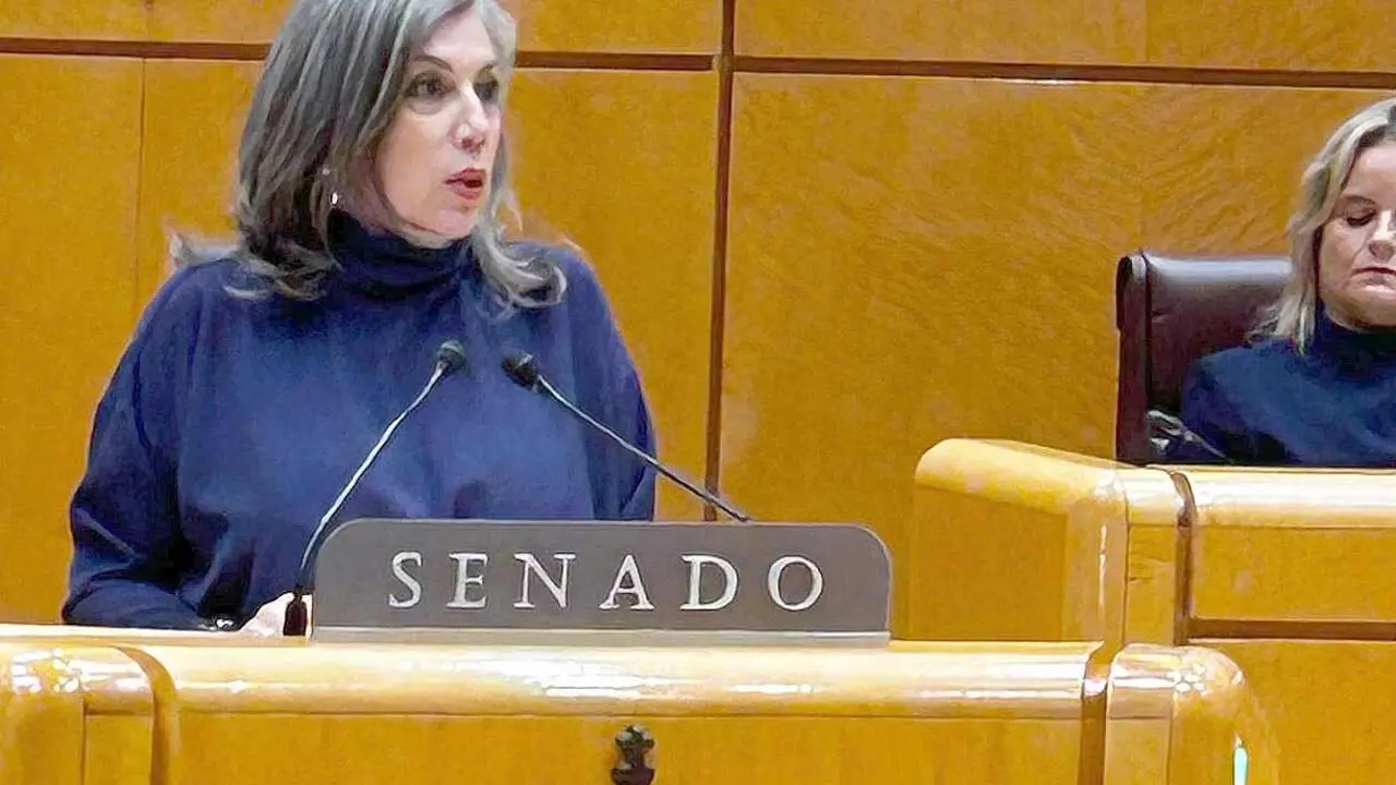 Asunción Mayo, durante su intervención en el Senado.