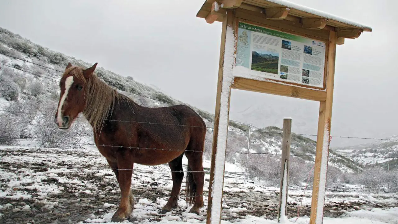 La primera nevada de la temporada llega a las cumbres de la vertiente leonesa de la Cornisa Cantábrica. Foto: Peio García