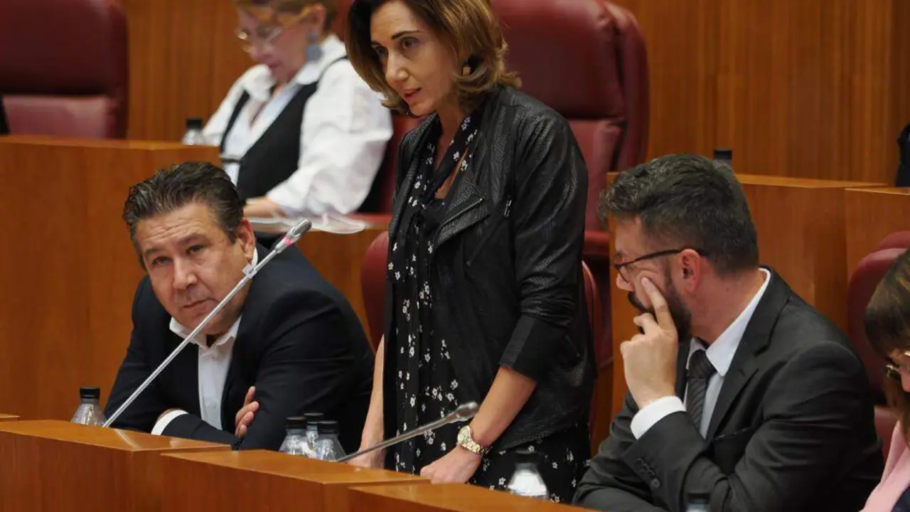 La secretaria general y procuradora de UPL, Alicia Gallego.