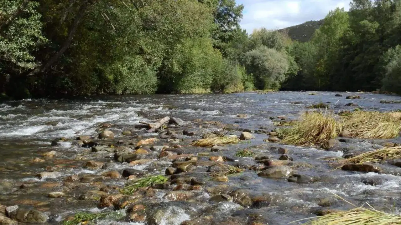 río Cúa en Carracedelo