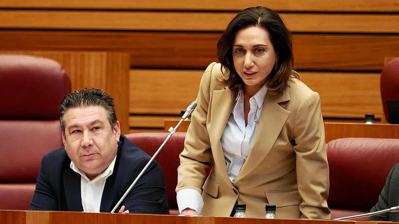 La procuradora de UPL, Alicia Gallego, junto al portavoz leonesista, Luis Mariano Santos.