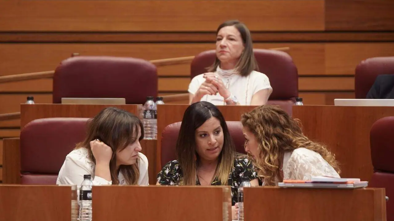 Nuria Ribio (centro) durante un pleno de las Cortes de Castilla y León. Foto: Ical