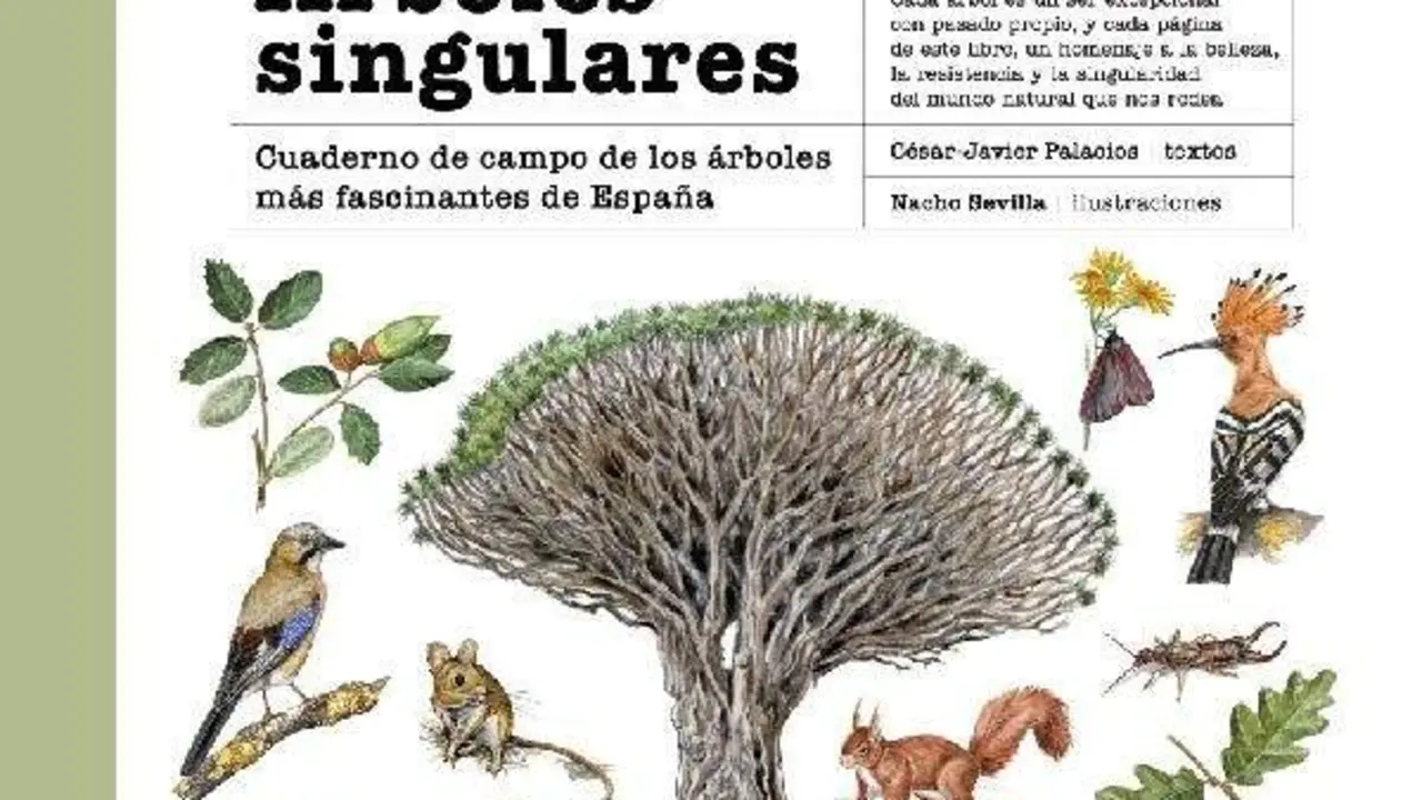 Portada de la guía 'Árboles singulares' (Anaya).
