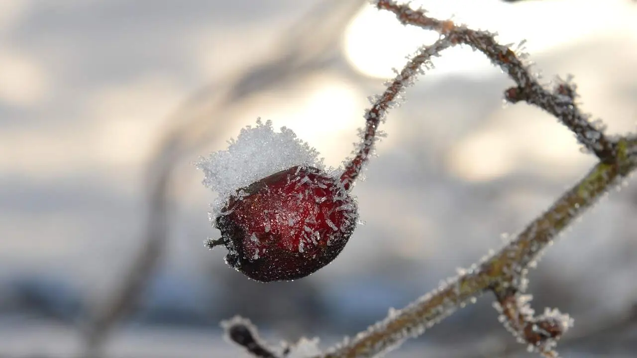 EL intenso frío marca el fin de semana en la provincia de León.