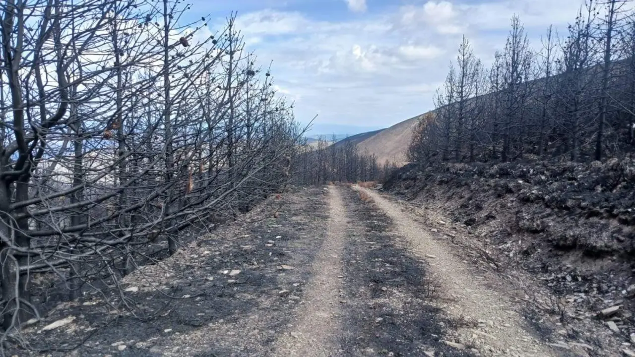 e83a3c9f-f2cb-4c43-bbd4-4ef128485bcf-1200x675