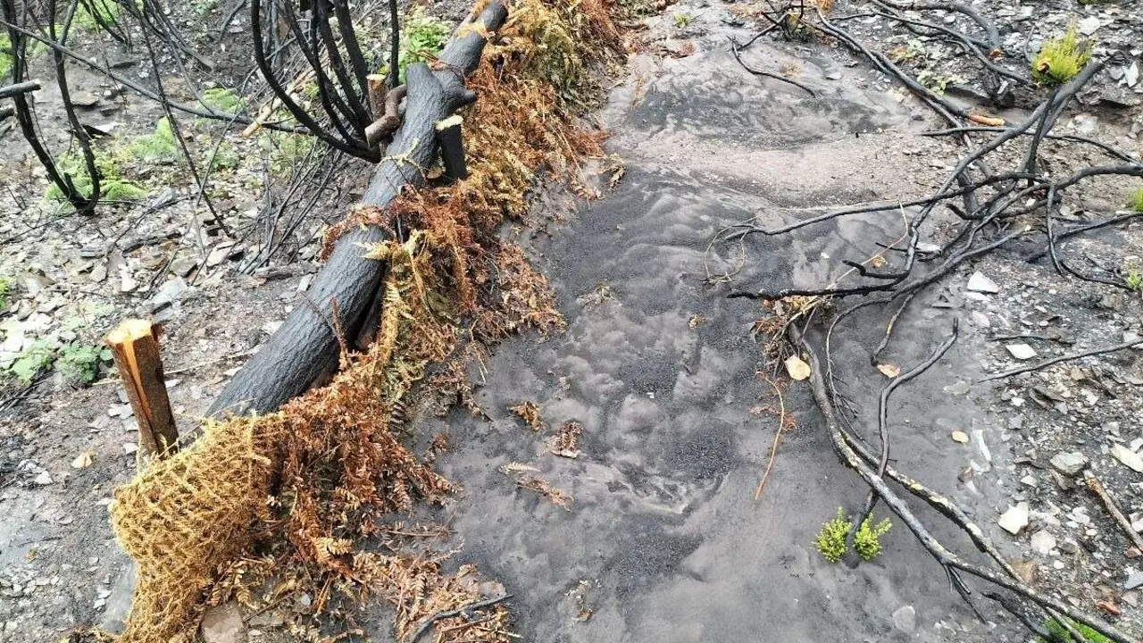 La Confederación Hidrográfica Miño-Sil (CHMS) avanza en los trabajos para paliar los efectos de los incendios de este verano en los diferentes ríos de la comarca del Bierzo, donde se está dando prioridad a los cauces fluviales estratégicos, próximos a captaciones, mediante técnicas de bioingeniería que ayudan a reducir los arrastres.