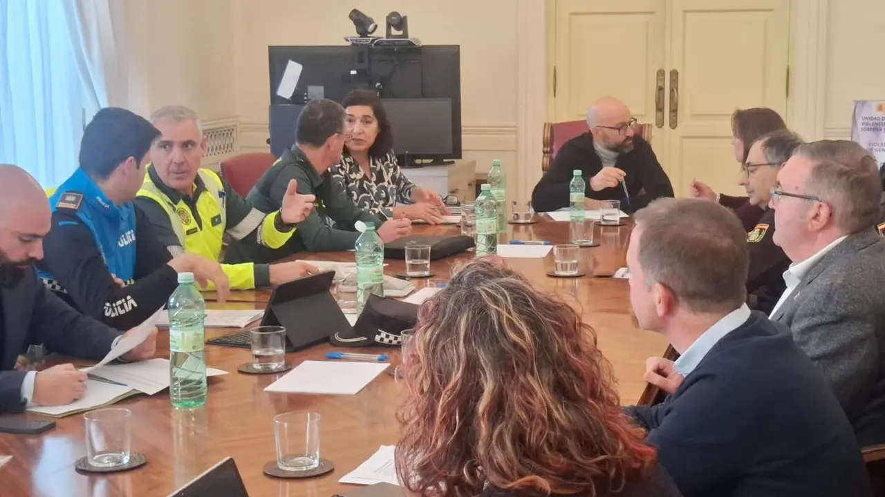 Comisión especial de tráfico celebrada este jueves en la Subdelegación del Gobierno en León.