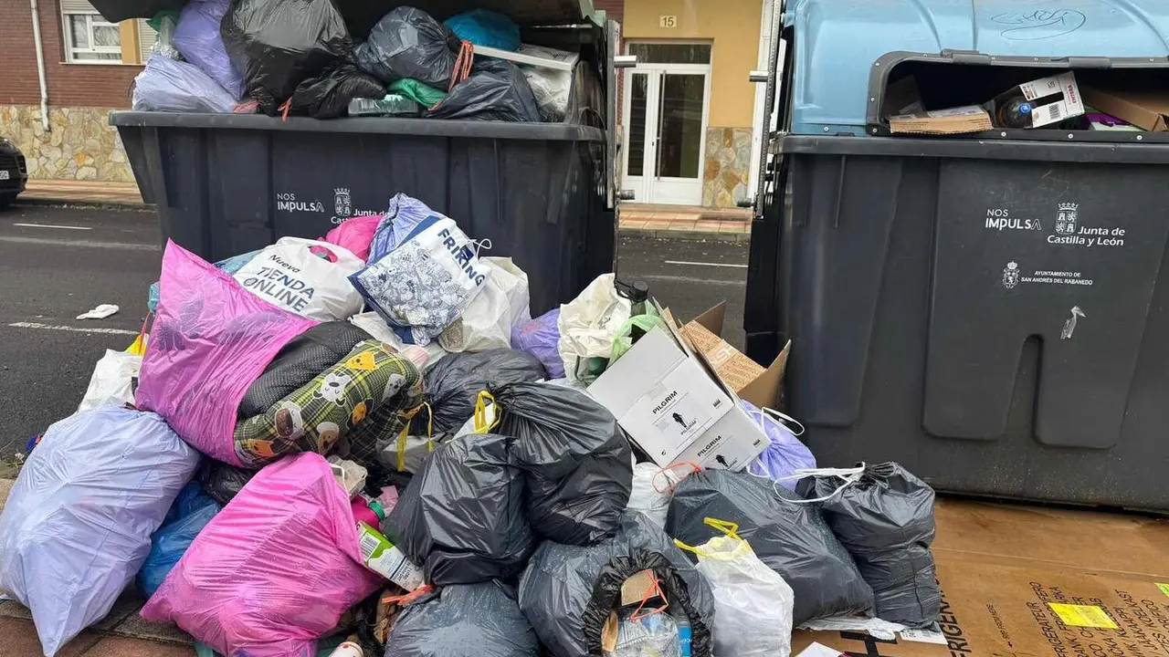 Imagen reciente de los contenedores de basura en San Andr&eacute;s del Rabanedo.