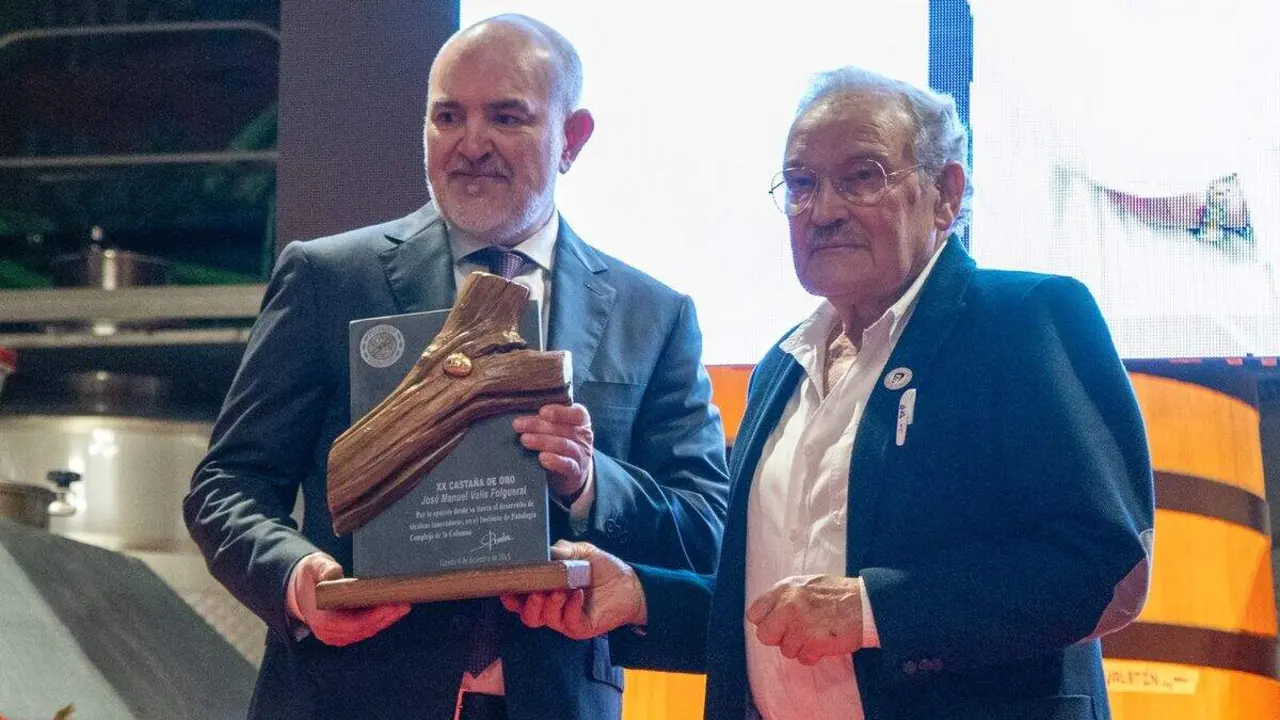 El prestigioso neurocirujano berciano Valle Folgueral fue el encargado de encender la Navidad en el Palacio de Canedo de Prada donde recibió un merecido homenaje a su trayectoria.