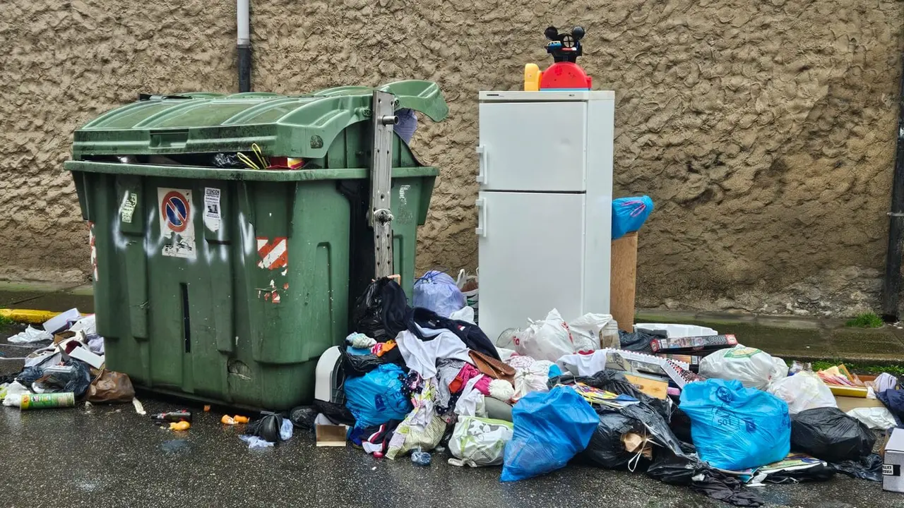 WhatsApp Image 2025-12-09 at 15.34.47