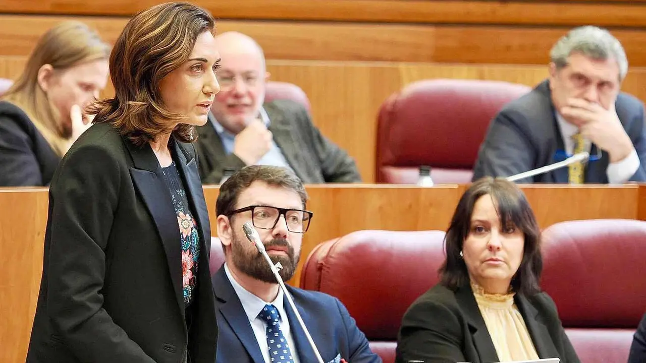 La procuradora de UPL, Alicia Gallego, durante el pleno de las Cortes.