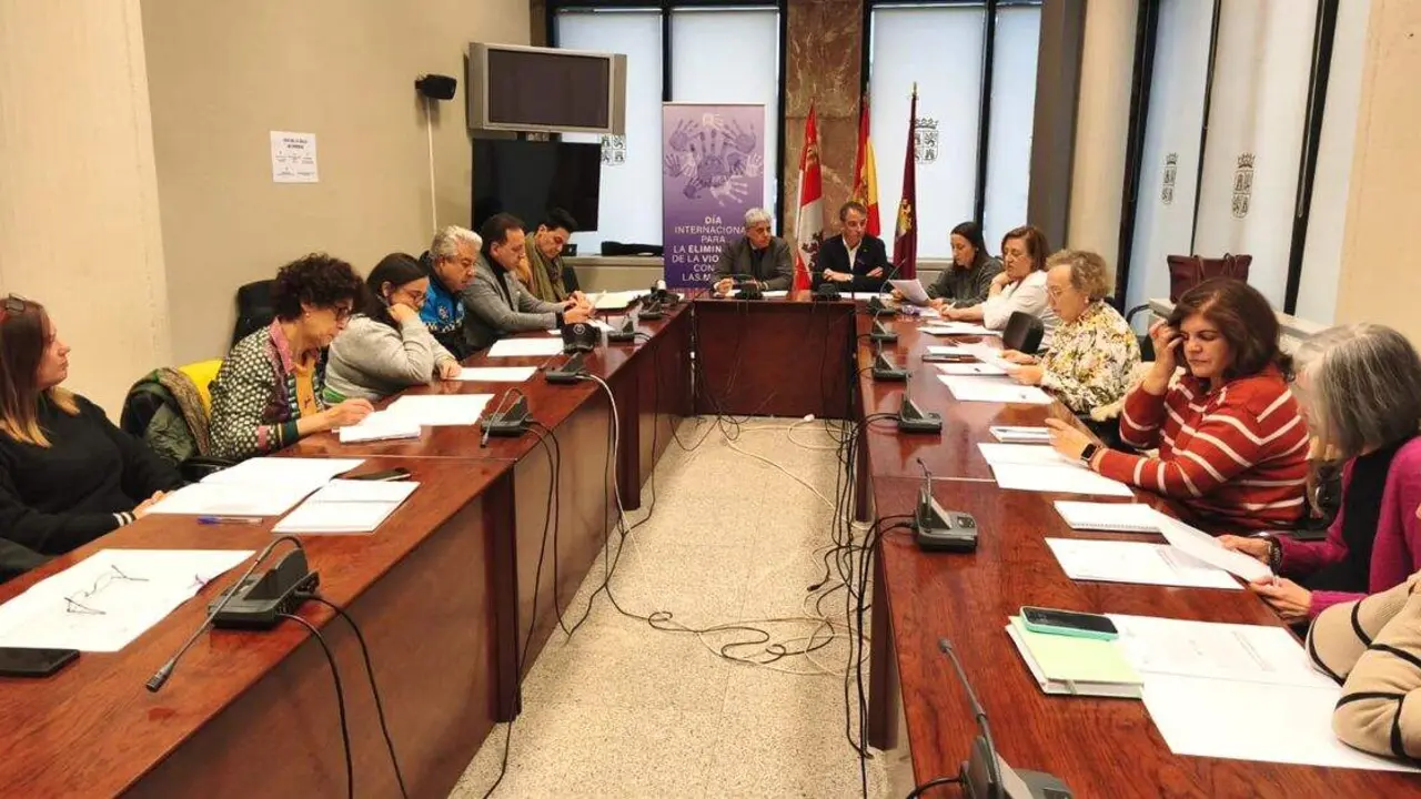 Comisión Violencia Género 1