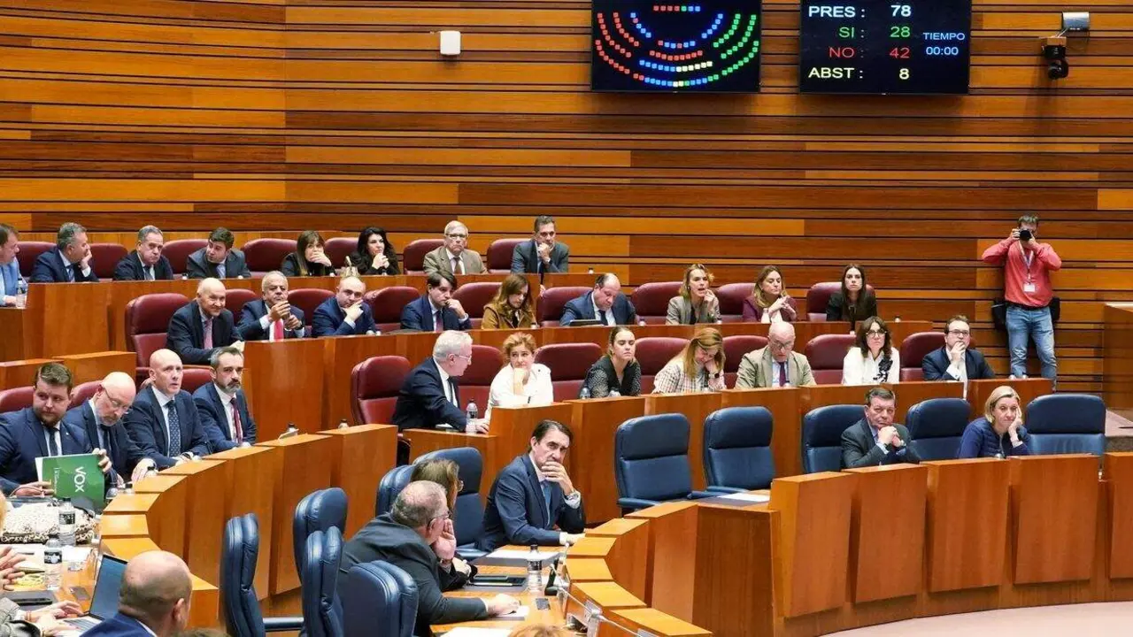 Votación en la segunda jornada del pleno de las Cortes de Castilla y León.