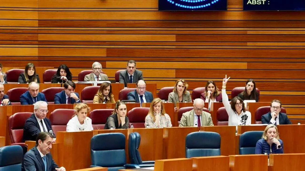 Votación en la segunda jornada del pleno de las Cortes de Castilla y León.
