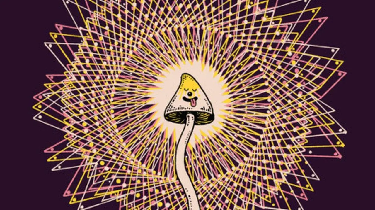 Fragmento de la portada 'Mycelium Wasson'