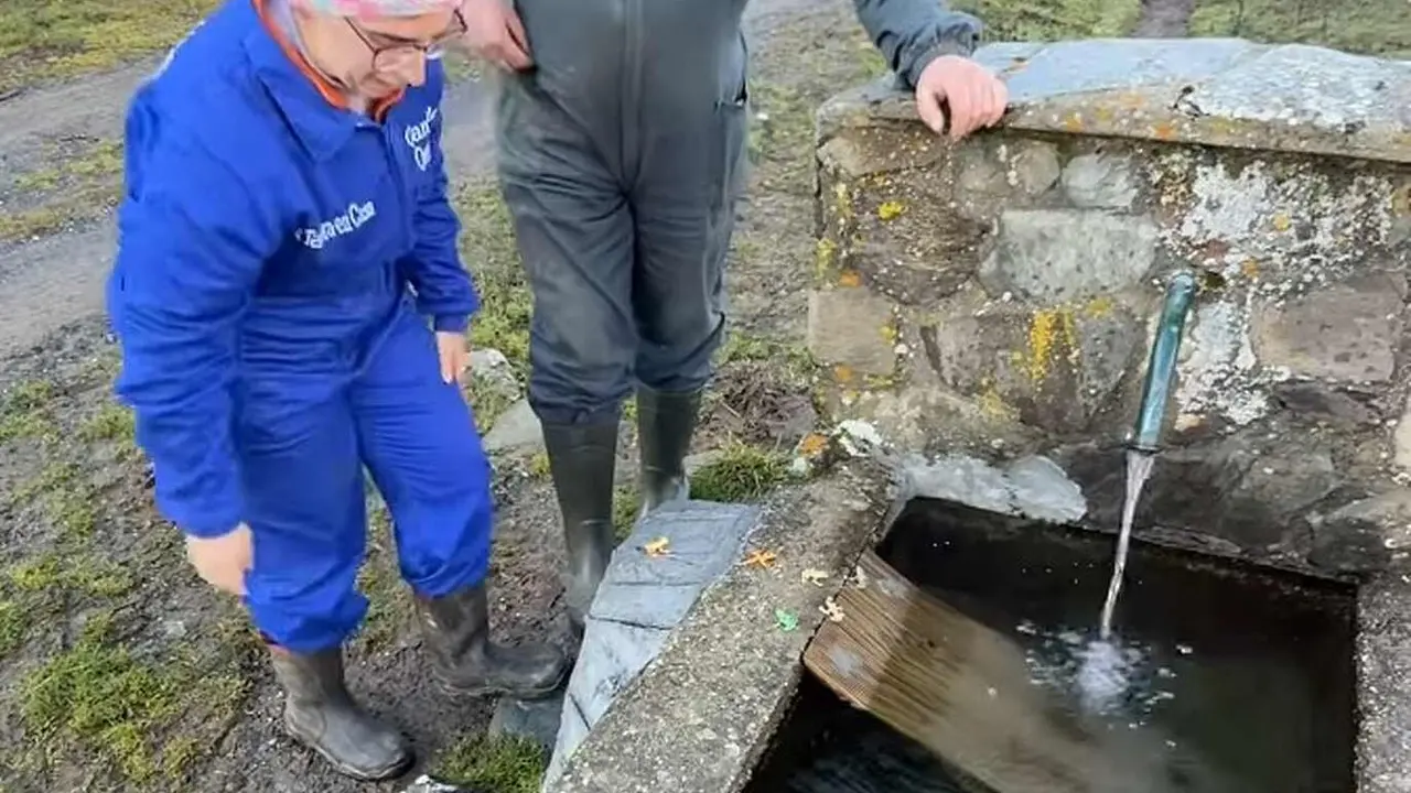 Los ganaderos ironizan y bromean sobre las "rampas para ranas".