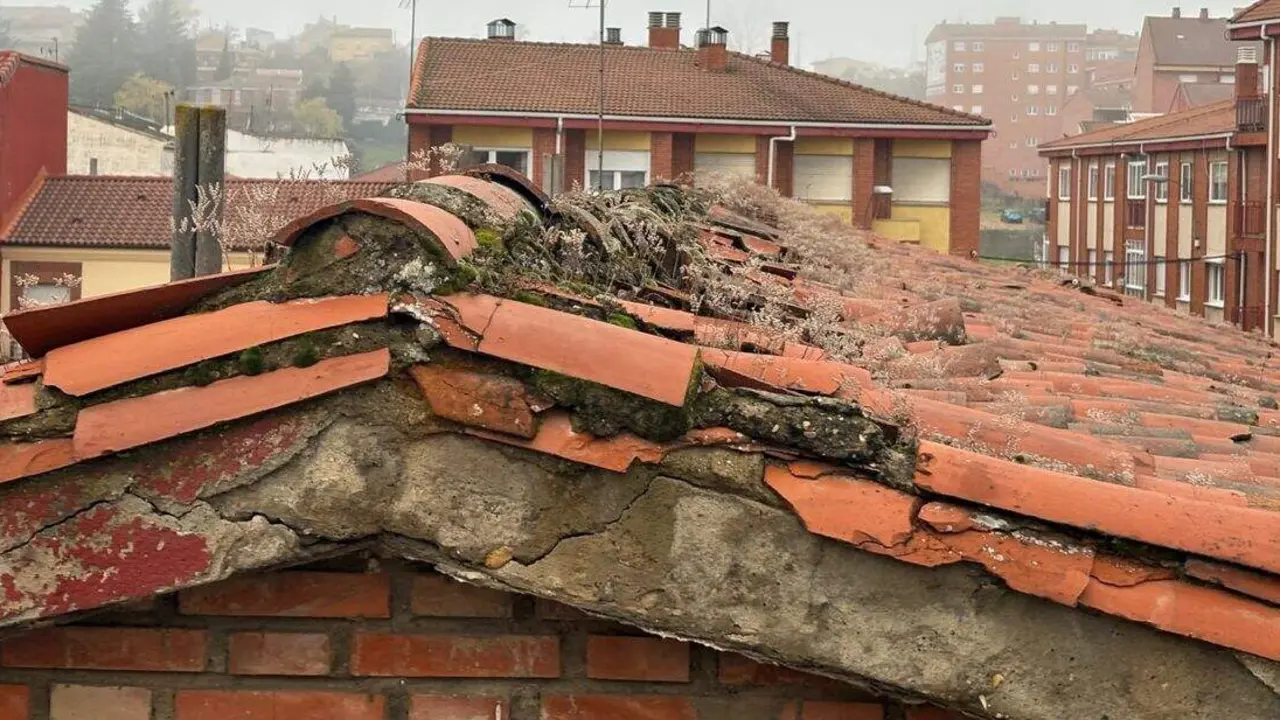 cubierta trepalio 21