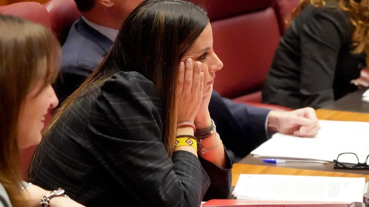 Pleno Cortes de Castilla y Le&oacute;n (28)