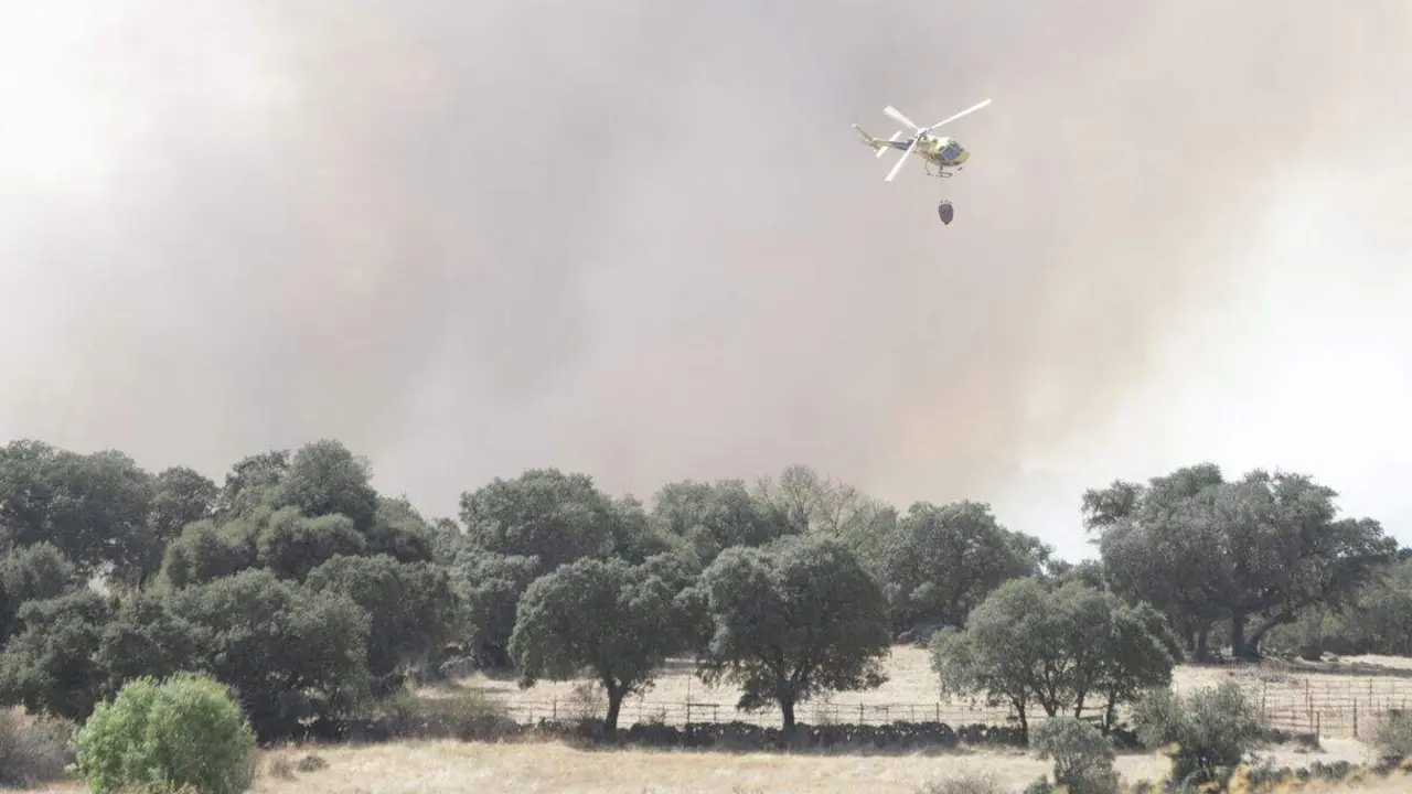 Incendio en Malillos