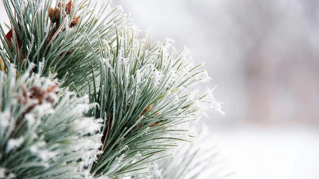El fr&iacute;o marcar&aacute; el inicio de la semana en la provincia de Le&oacute;n.