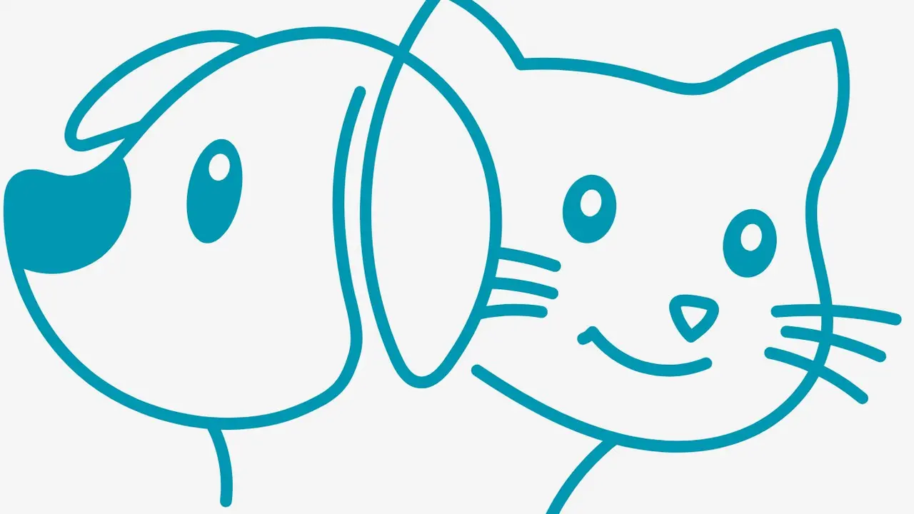 Cartel Operaci&oacute;n Saco enero 2026 CC Espacio Le&oacute;n.