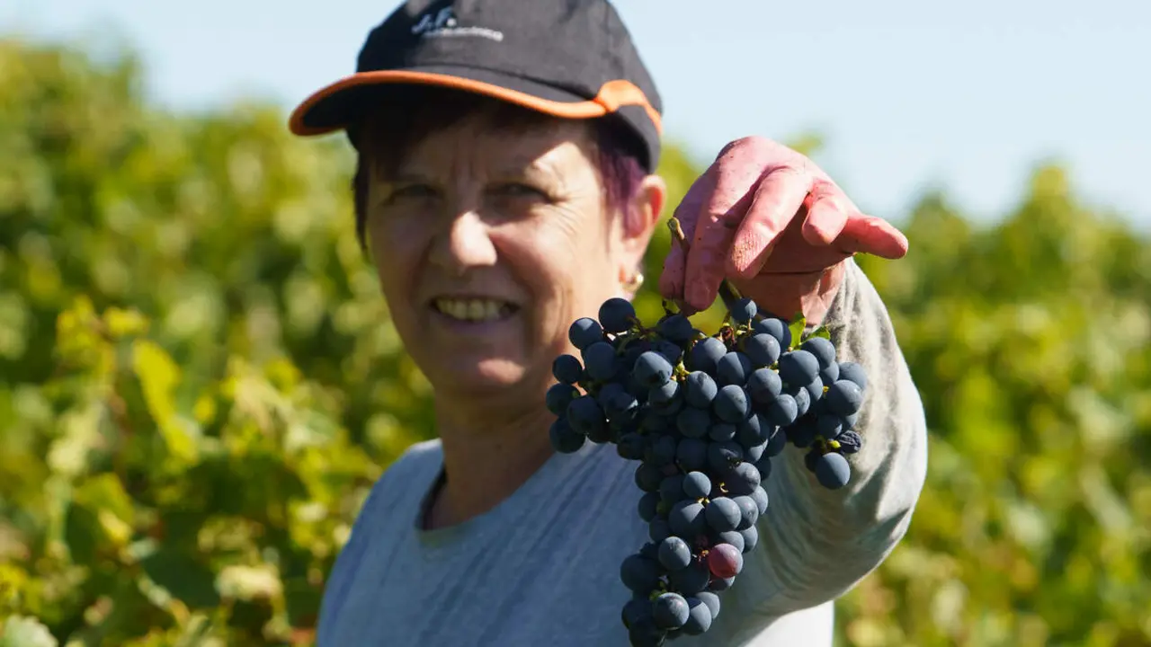 Frutales en El Bierzo