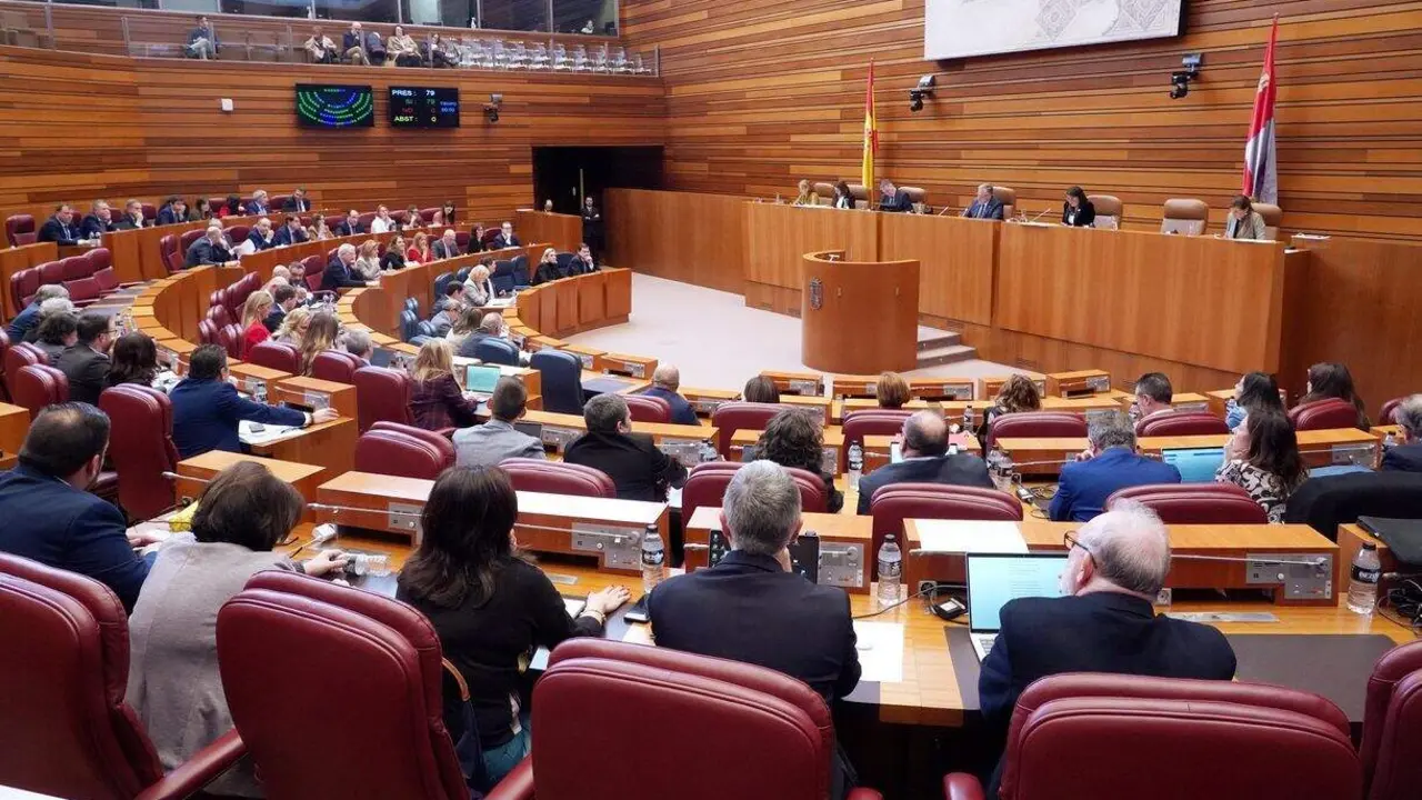Votaci&oacute;n en la segunda sesi&oacute;n del pleno de las Cortes de Castilla y Le&oacute;n.