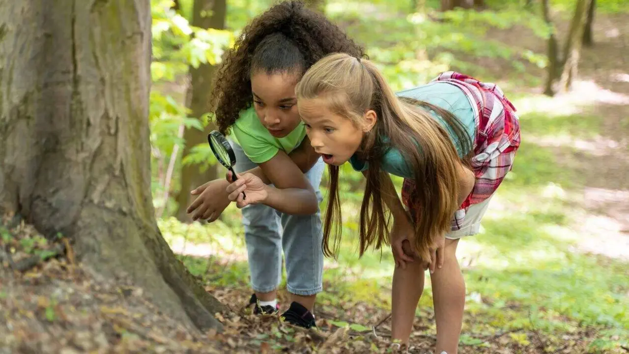 educaci&oacute;n forestal