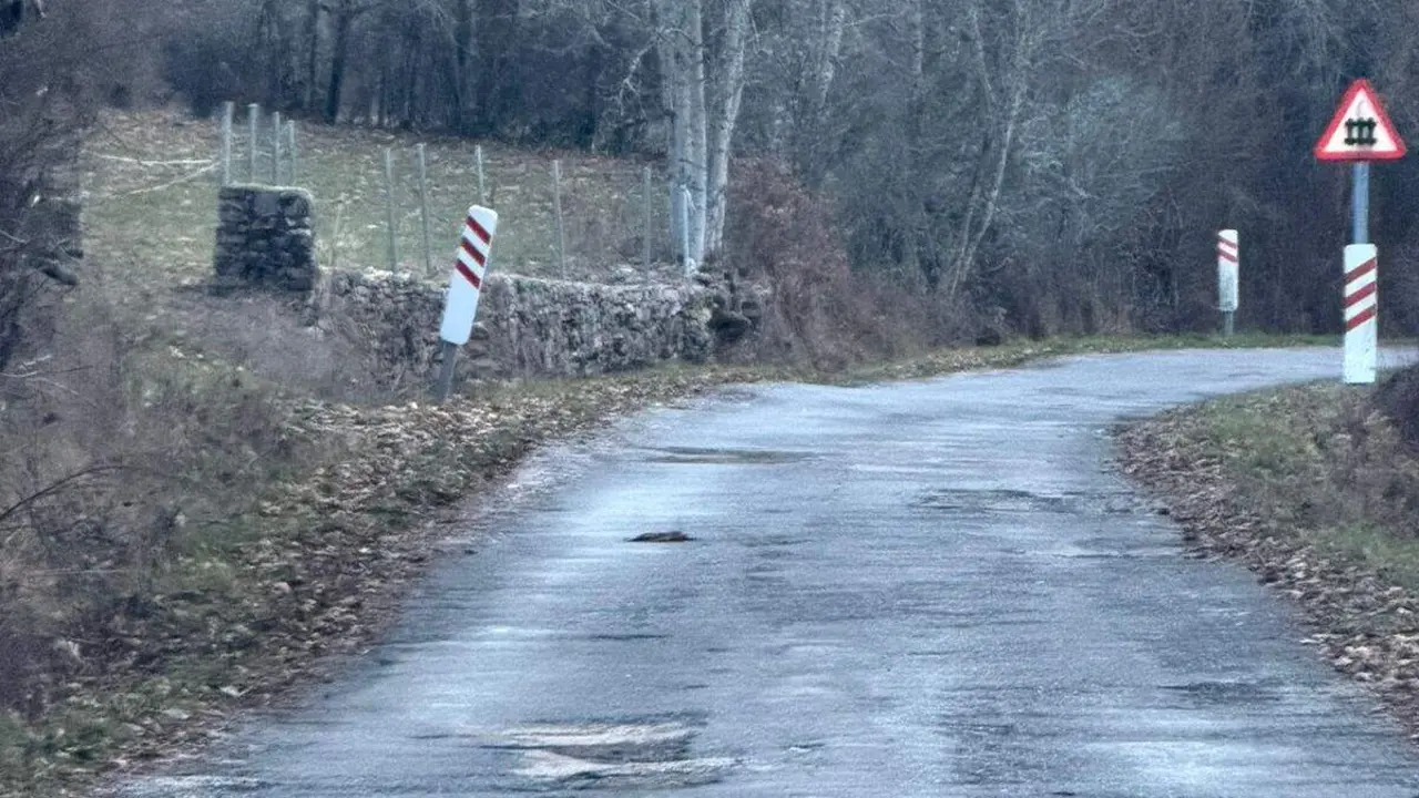 Estados actual de la carretera de acceso a la localidad leonesa de Aviados, en un imagen enviada por el PP.