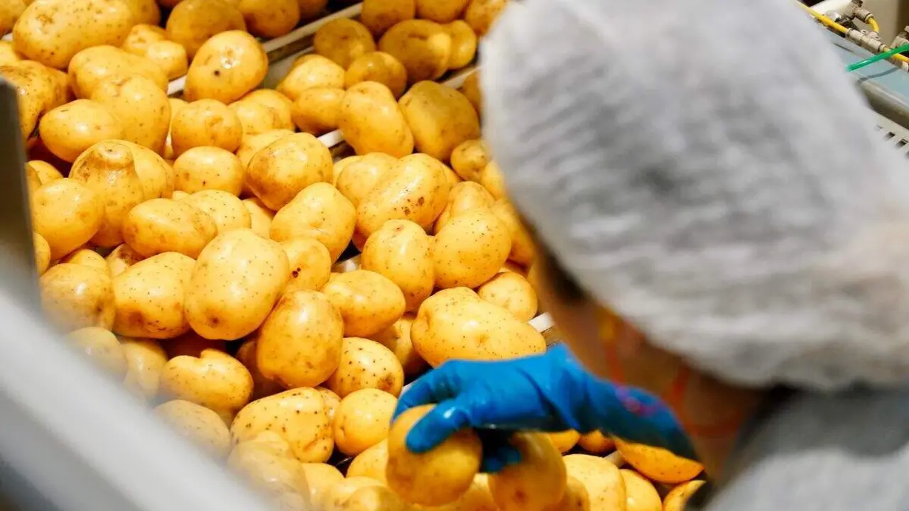 F&aacute;brica de Patatas Hijolusa en Ribaseca (Le&oacute;n). Foto: Campillo