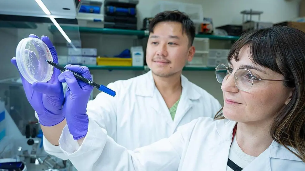 Laboratorio del CSIC en el IQAC. Foto: C&eacute;sar Hern&aacute;ndez