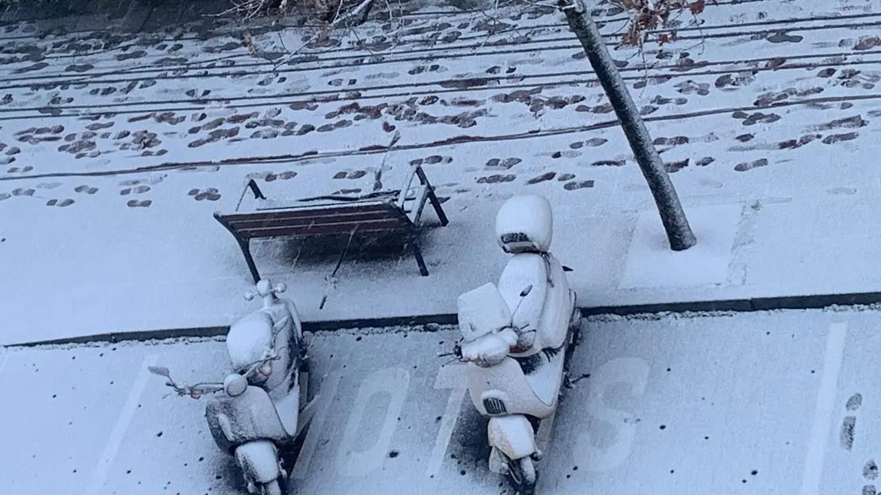 WhatsApp Image 2026-01-23 at 09.45.32