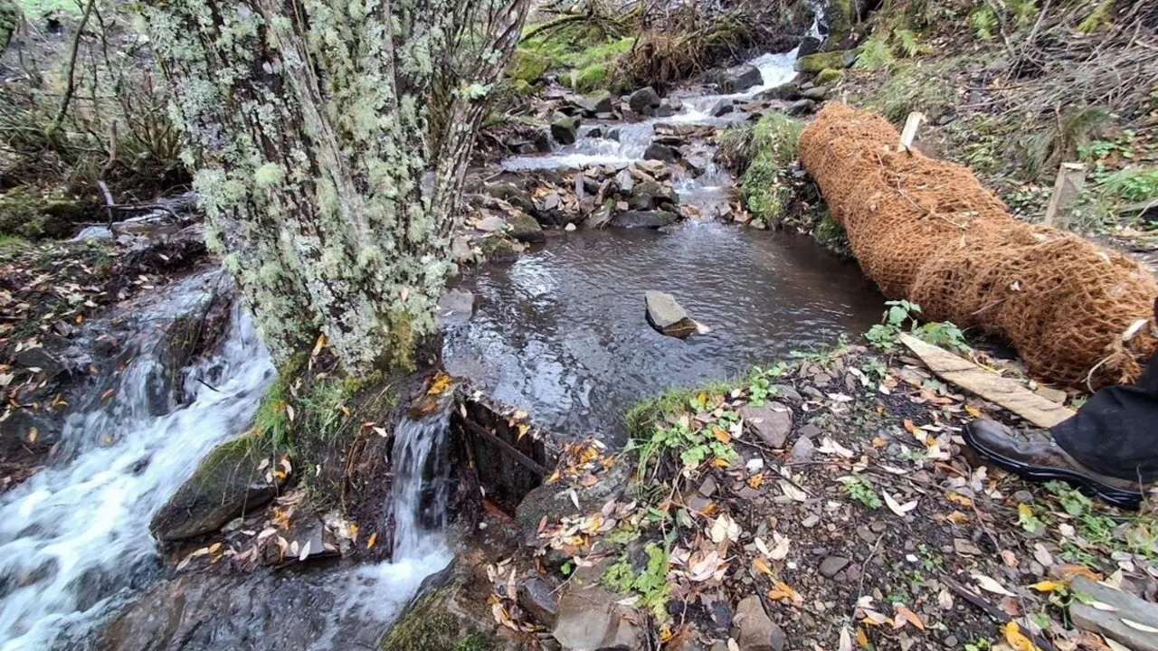 46e8320f-17a9-4fd4-af87-4224c3db8703