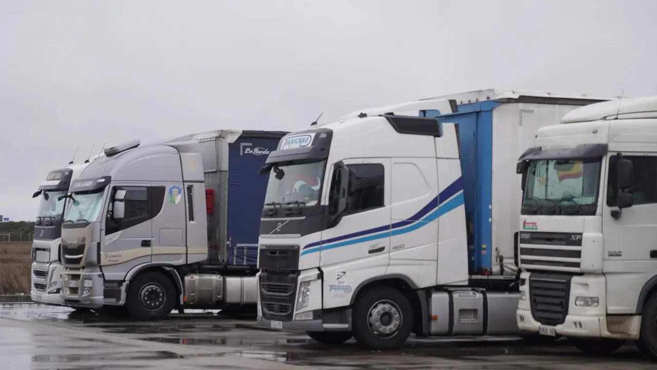 Camiones embolsados (8)