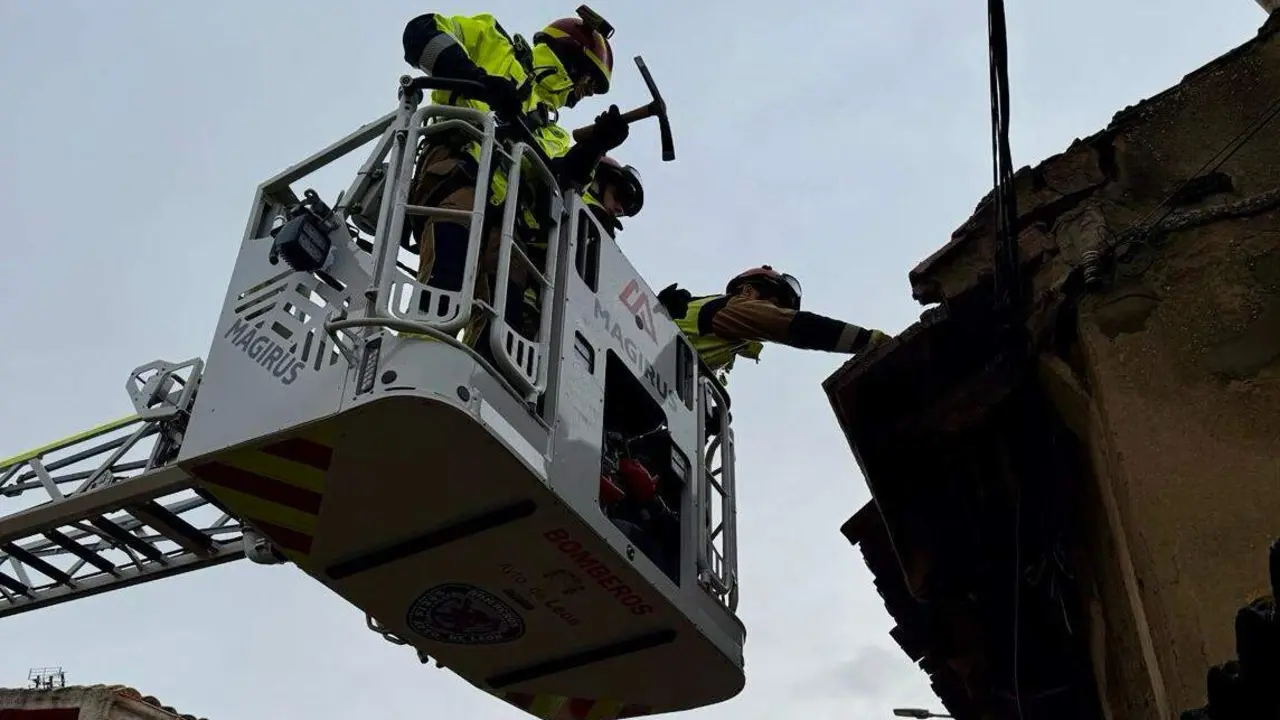 WhatsApp Image 2026-01-25 at 18.13.29 copia 4