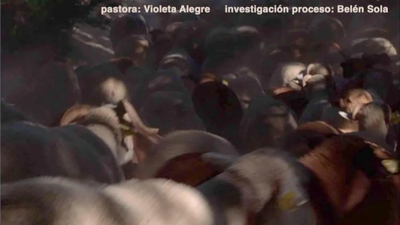 Imagen parcial del cartel promocional de la proyecci&oacute;n.