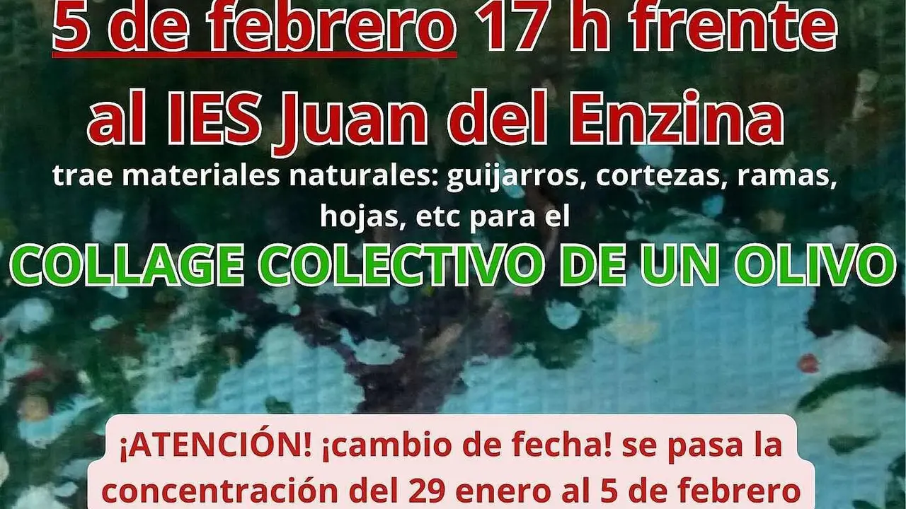 Concentraci&oacute;n 5 febrero Collage colectivo olivo paz