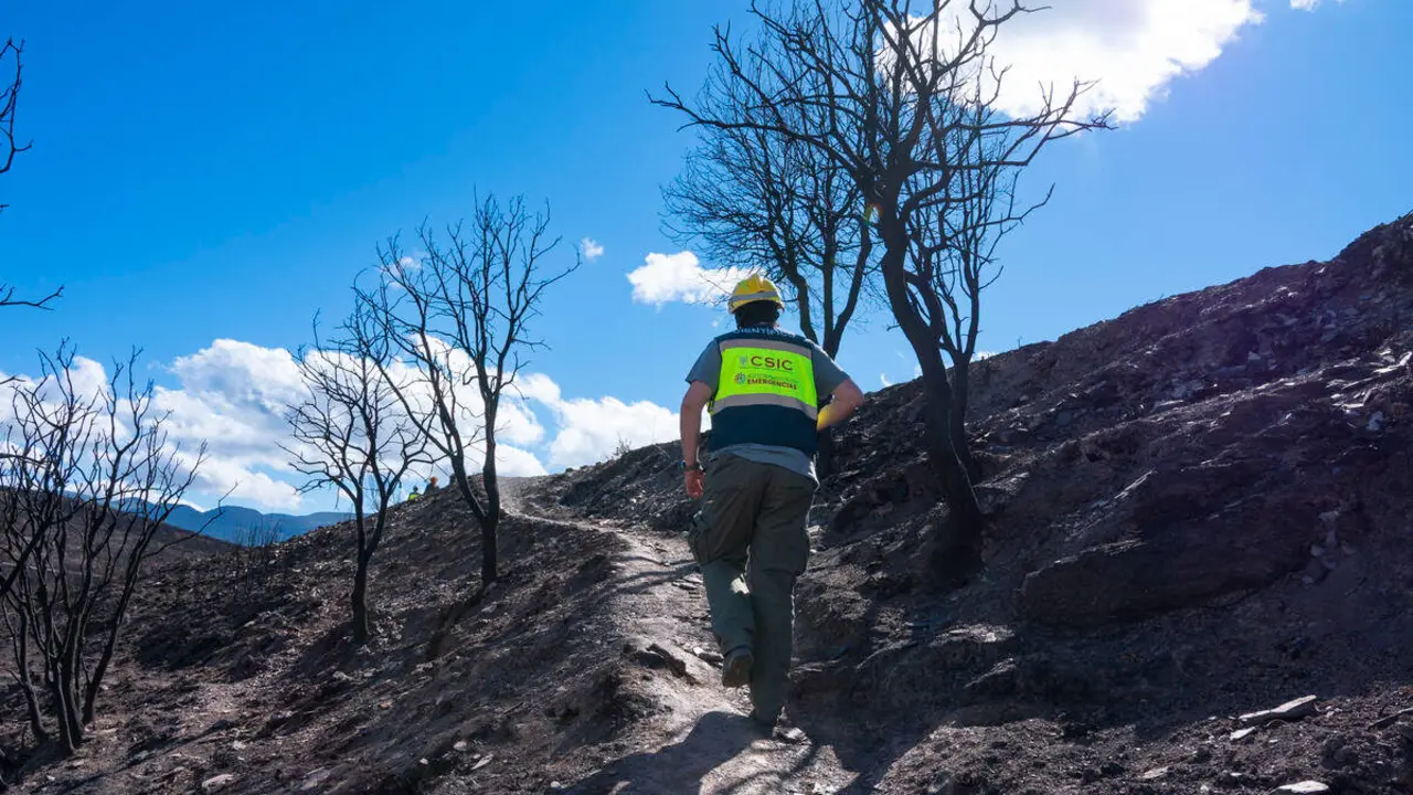 El CSIC documenta los da&ntilde;os ambientales y geol&oacute;gicos clave para la recuperaci&oacute;n postincendio de Las M&eacute;dulas